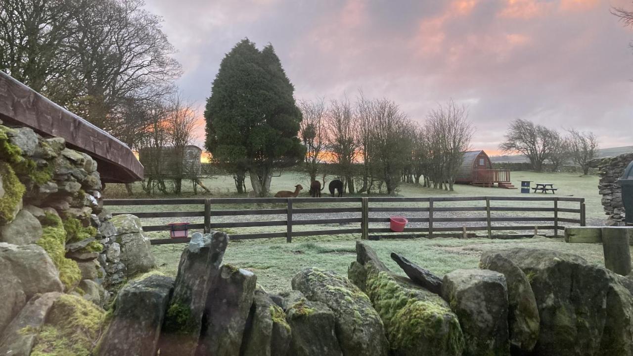 Llwyn Onn Guest House, North Wales Pentrefoelas エクステリア 写真