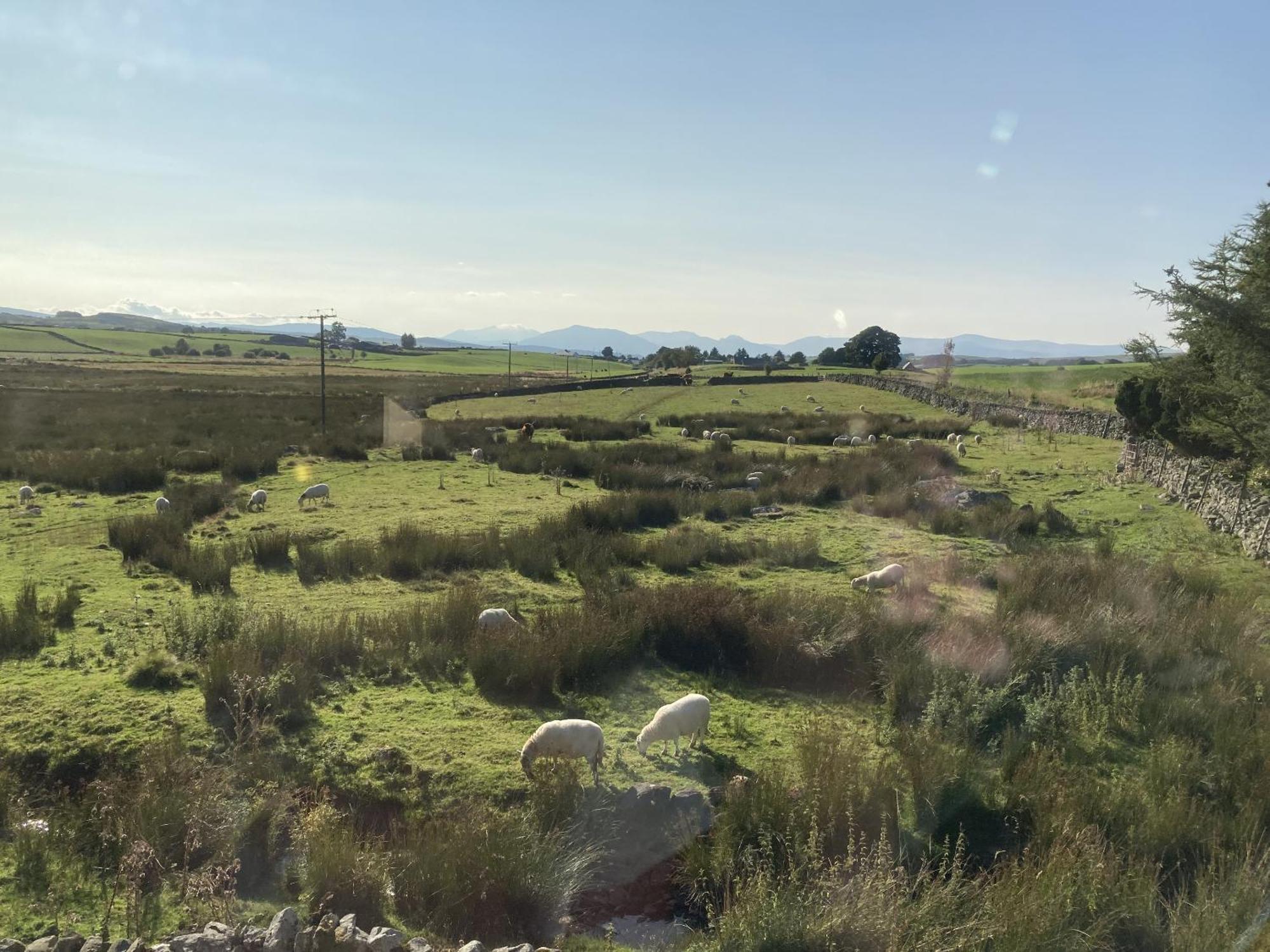 Llwyn Onn Guest House, North Wales Pentrefoelas 部屋 写真